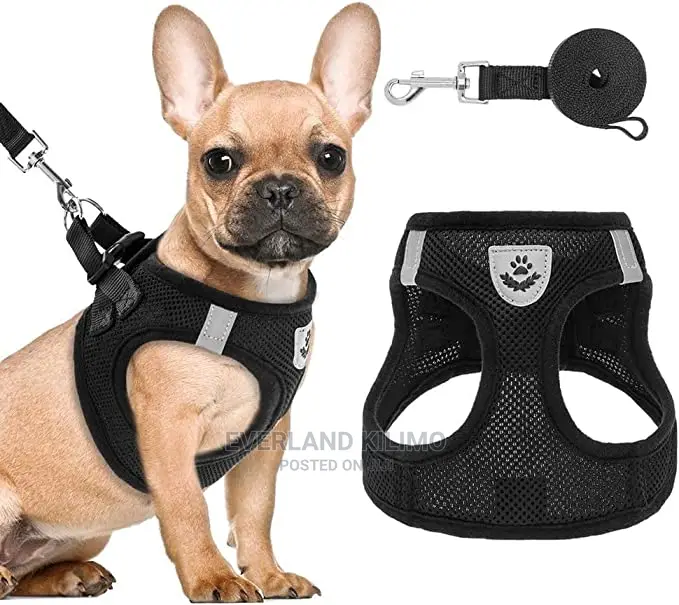 Dog/Cat Vest Harness and Leash- Large
