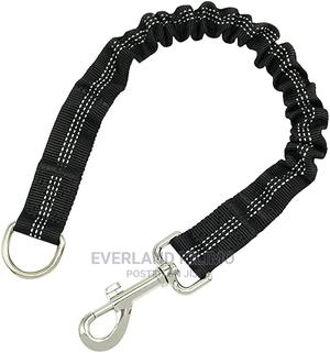 Elastic Leash - thumbnail 2
