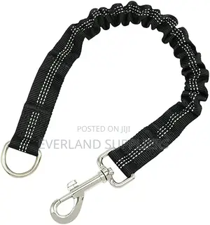 Elastic Leash