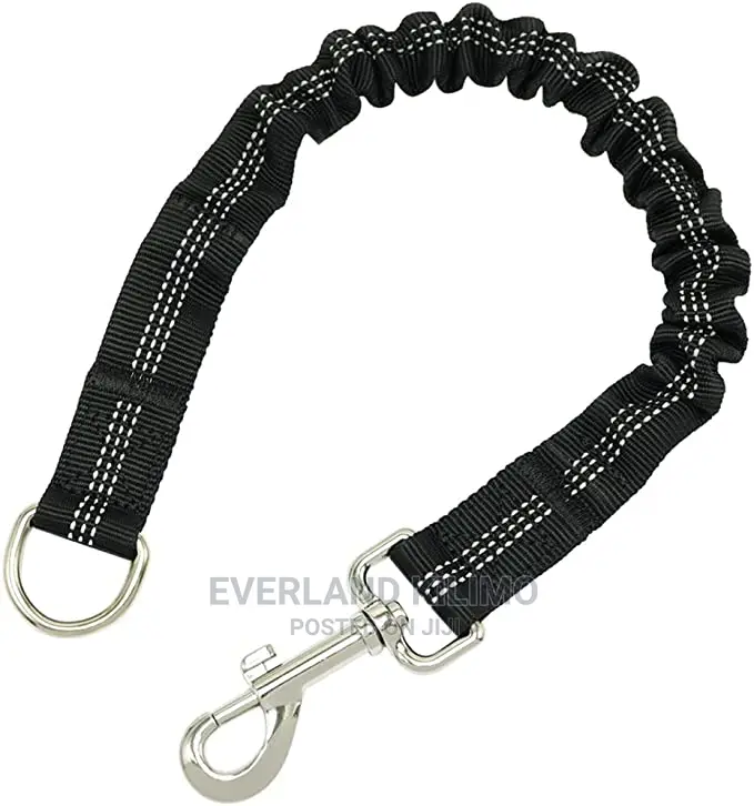 Elastic Leash