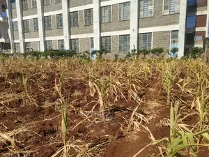 1/2 Acre Kiangwachi/Sagana Karatina Highway