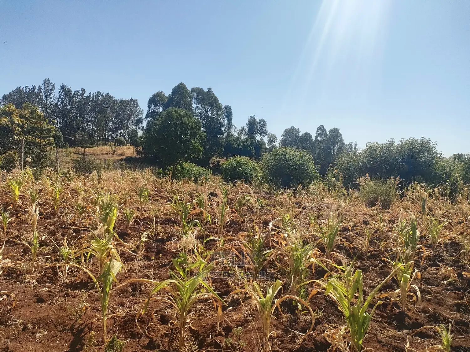 1/2 Acre Kiangwachi/Sagana Karatina Highway