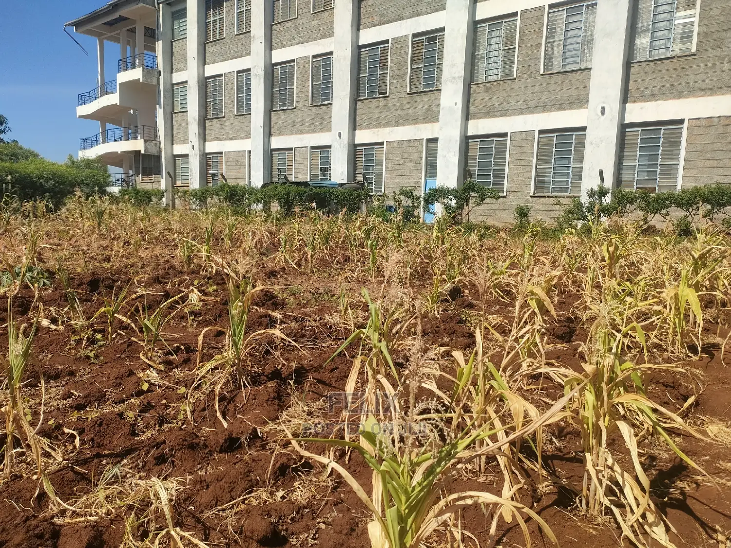 1/2 Acre Kiangwachi/Sagana Karatina Highway