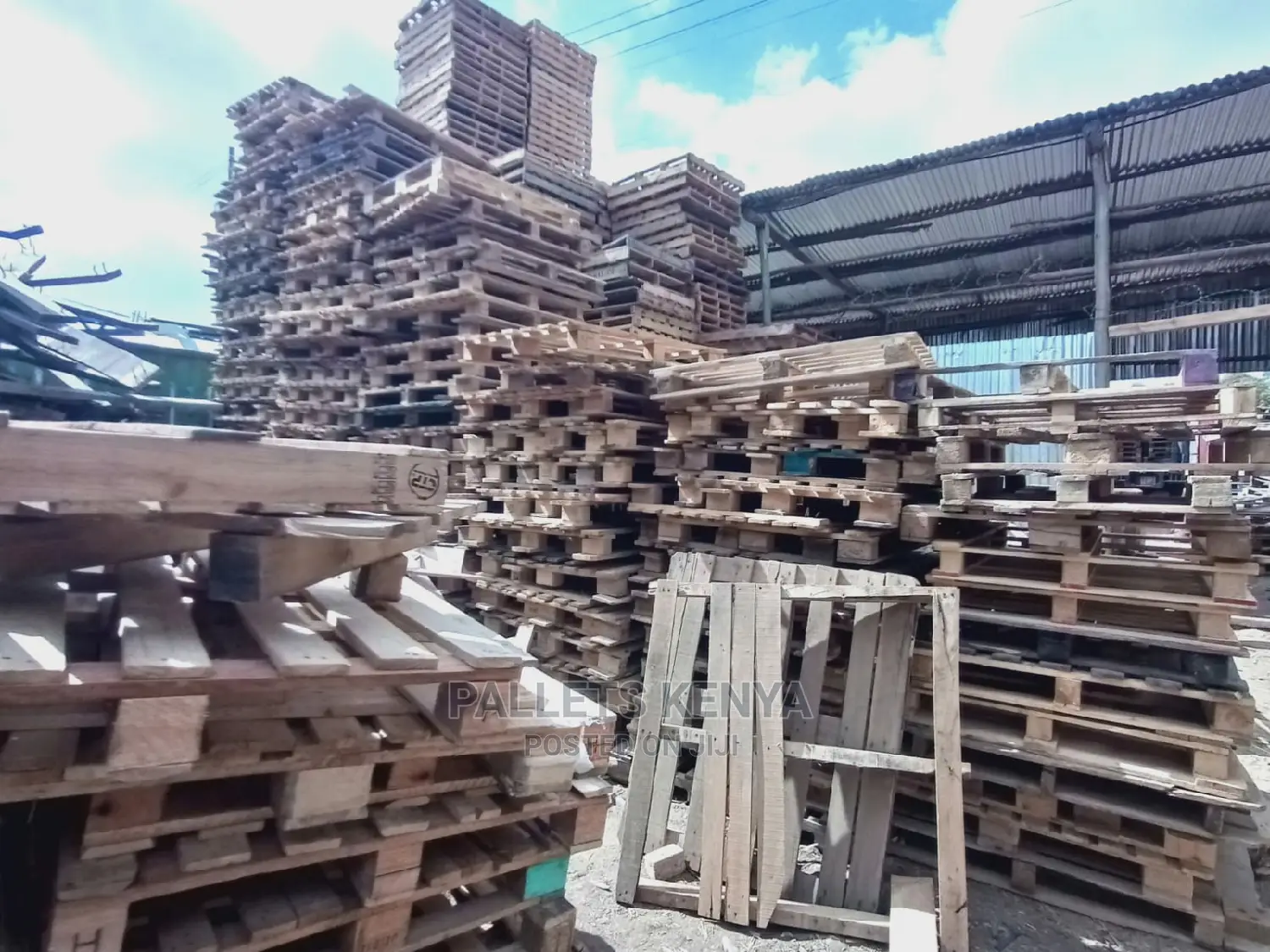 Used Wooden Pallets- 015