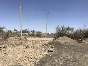 100 By50 Plot Katani Resort