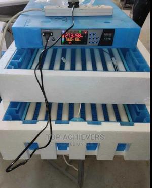 Affordable Egg Incubators - thumbnail 2
