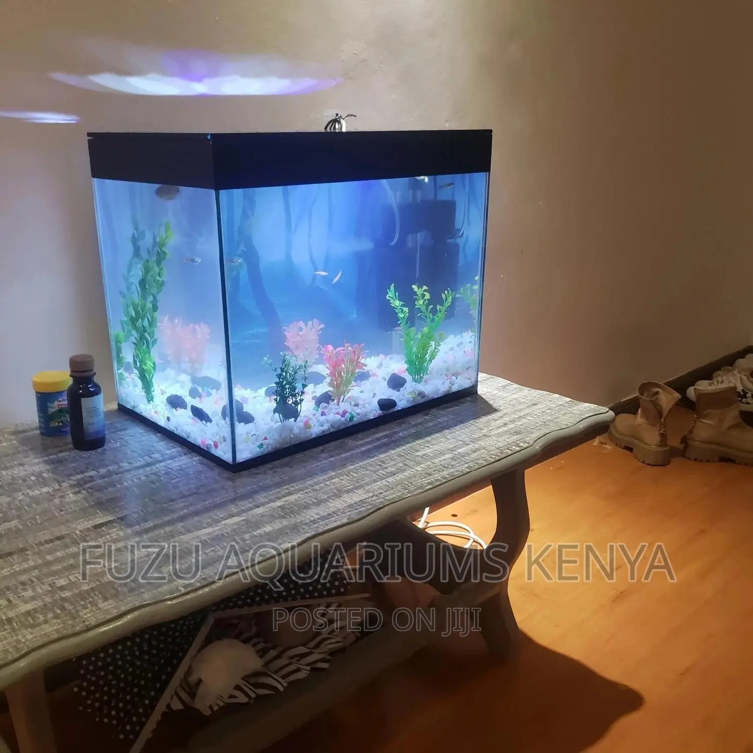 Small Aquarium Black