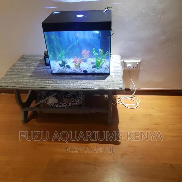 Small Aquarium . - main view