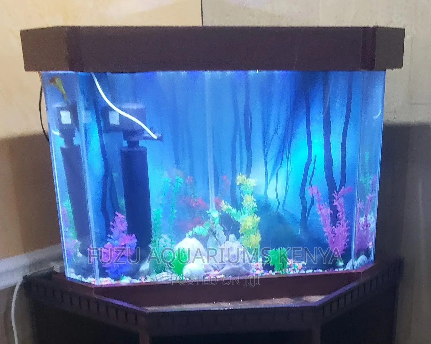 Hexagon Aquarium