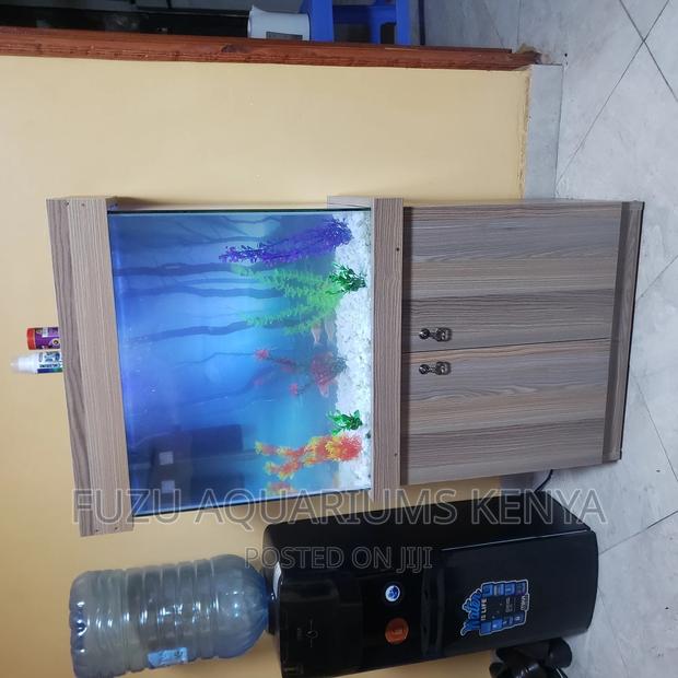 Stand and Aquarium - main view