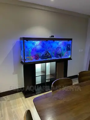 Tall Aquarium 5ft Height