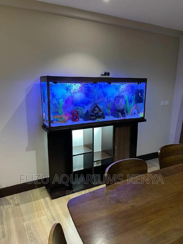 Tall Aquarium 5ft Height