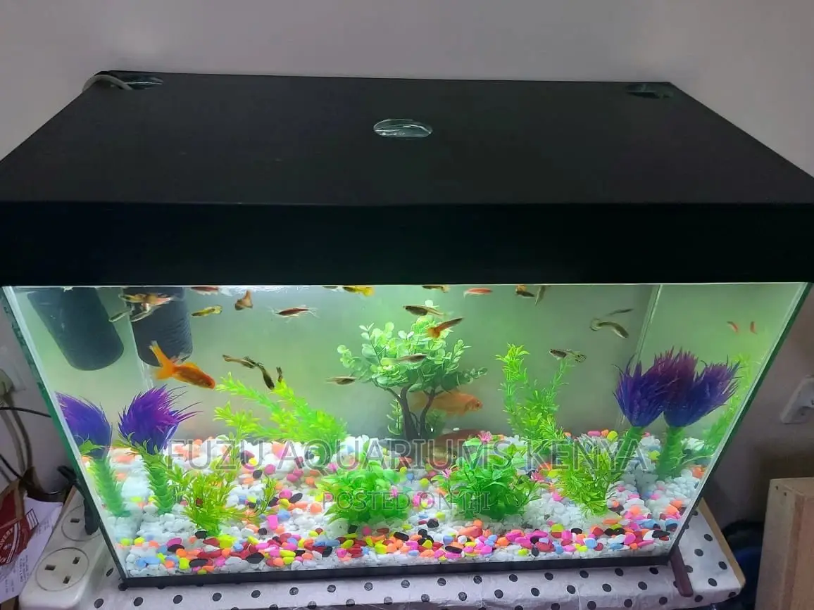 Kids Aquarium