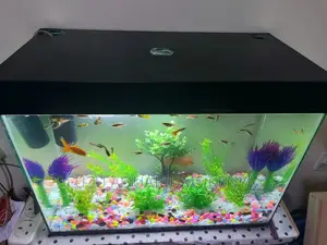 Kids Aquarium