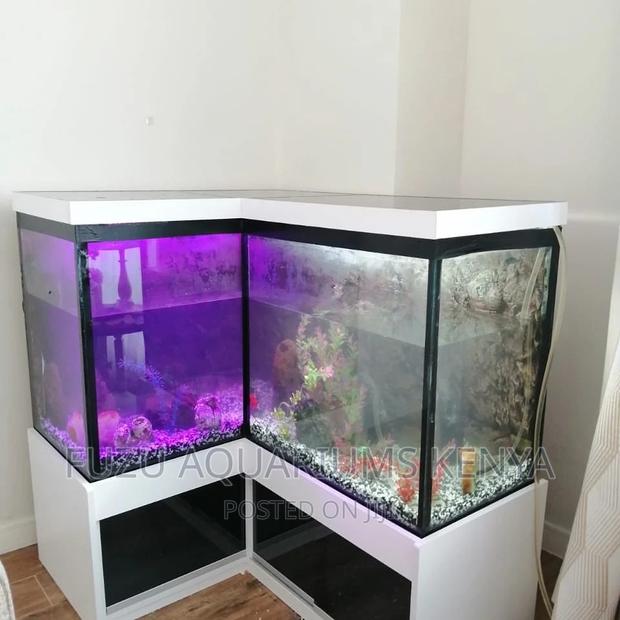 Corner Aquarium - main view