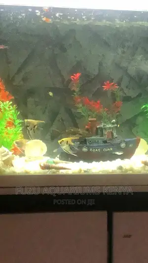 Angel Fish Small Size