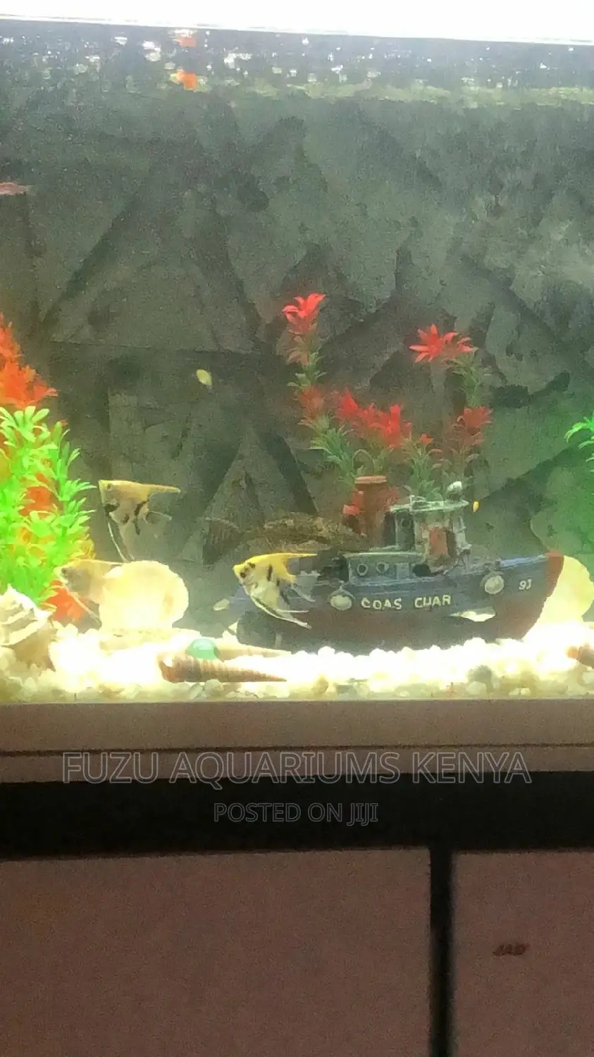Angel Fish Small Size