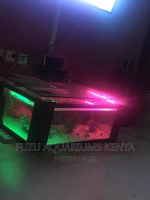 Coffee Table Aquarium - thumbnail 2