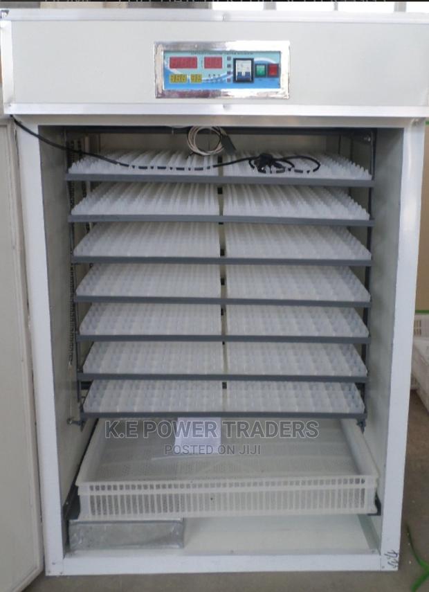 Automatic AC /DC 528 Egg Incubator