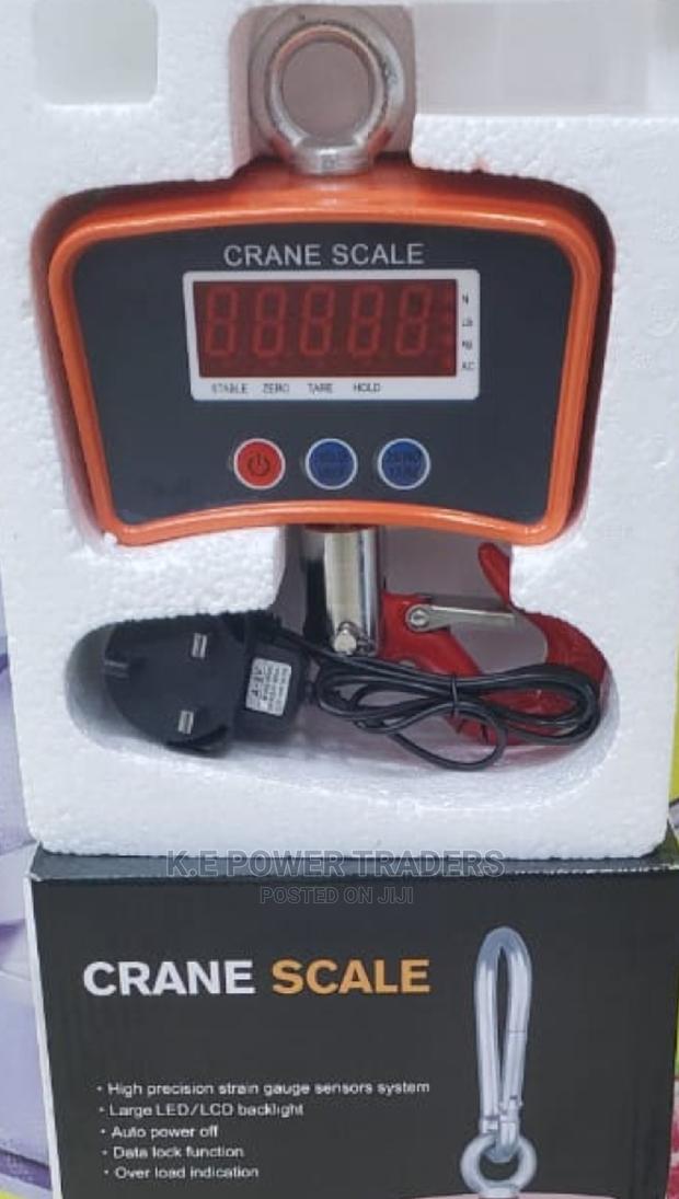 Data Lock Function 500kg Crane Scale - main view