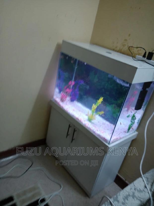 Aquarium Mombasa - main view