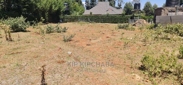 Big 1⁄4 Plot for Sale in Kipkenyo - thumbnail 3
