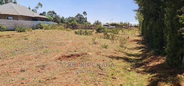 Big 1⁄4 Plot for Sale in Kipkenyo - thumbnail 4