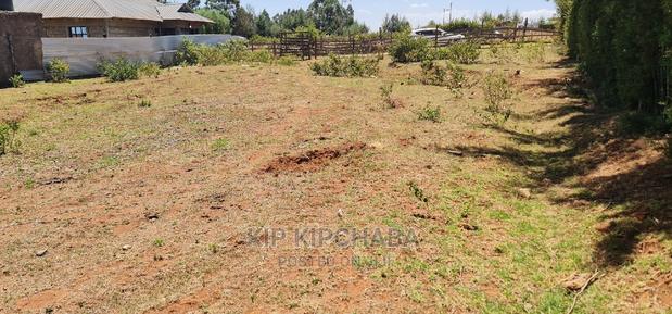 Big 1⁄4 Plot for Sale in Kipkenyo - thumbnail 6