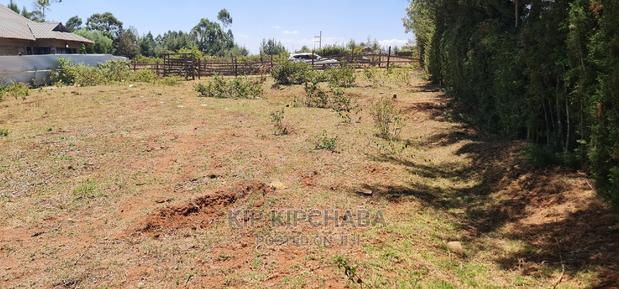 Big 1⁄4 Plot for Sale in Kipkenyo - thumbnail 7