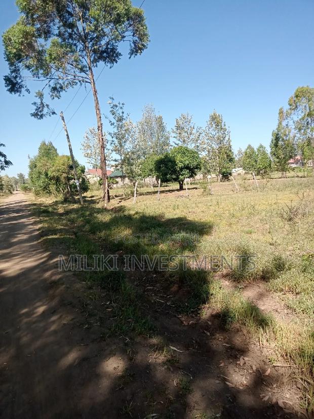 Commercial 40 by 80 Plots on Sale at Kenol Town Area. - main view