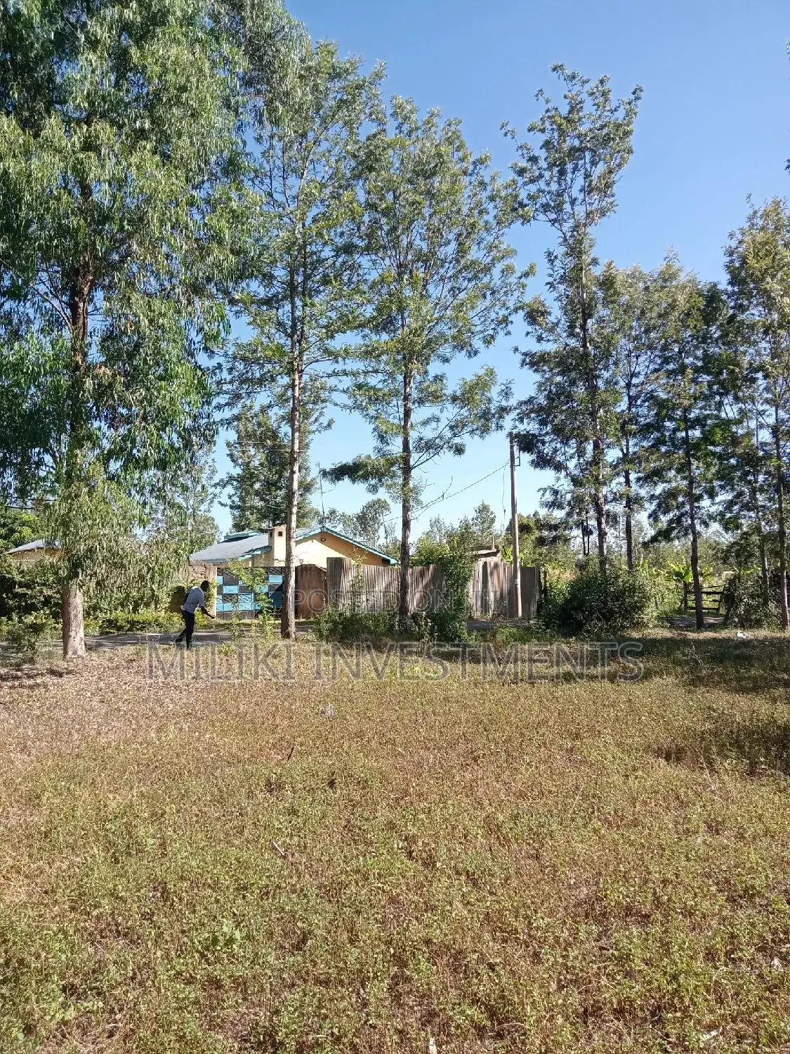 Commercial 40 by 80 Plots on Sale at Kenol Town Area.