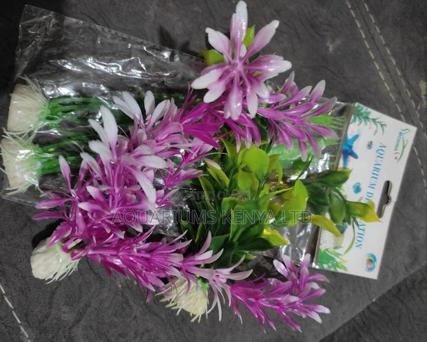 Blue Purple Medium Plants In Pairs, Aquarium Plants - main view