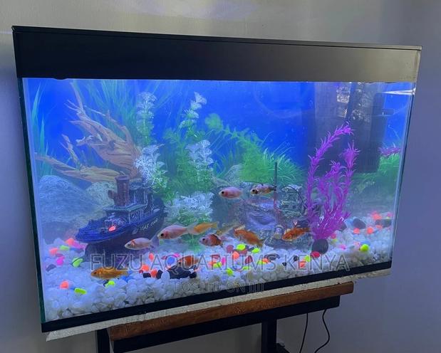Aquarium With Fish and Deco - main view
