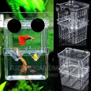 Fish Breeding Box