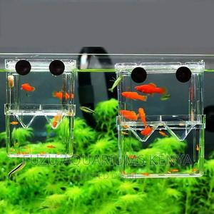 Breeding Box for Fish - thumbnail 2