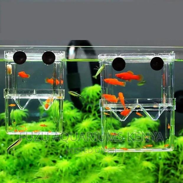 Breeding Box for Fish