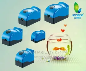 Double Air Pump