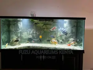 Super Aquarium