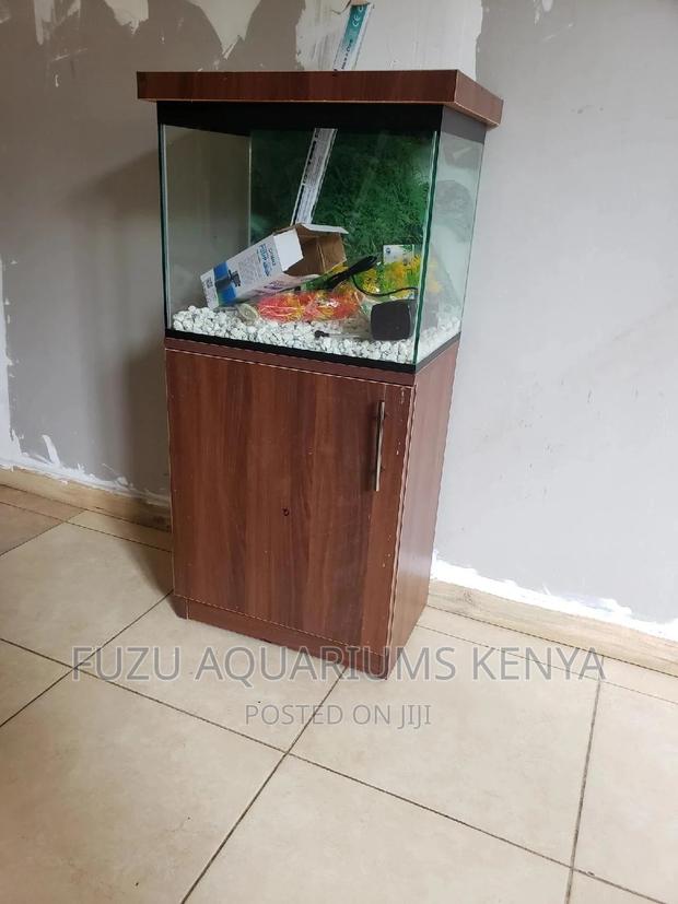 Aquarium With Brown Stand - main view