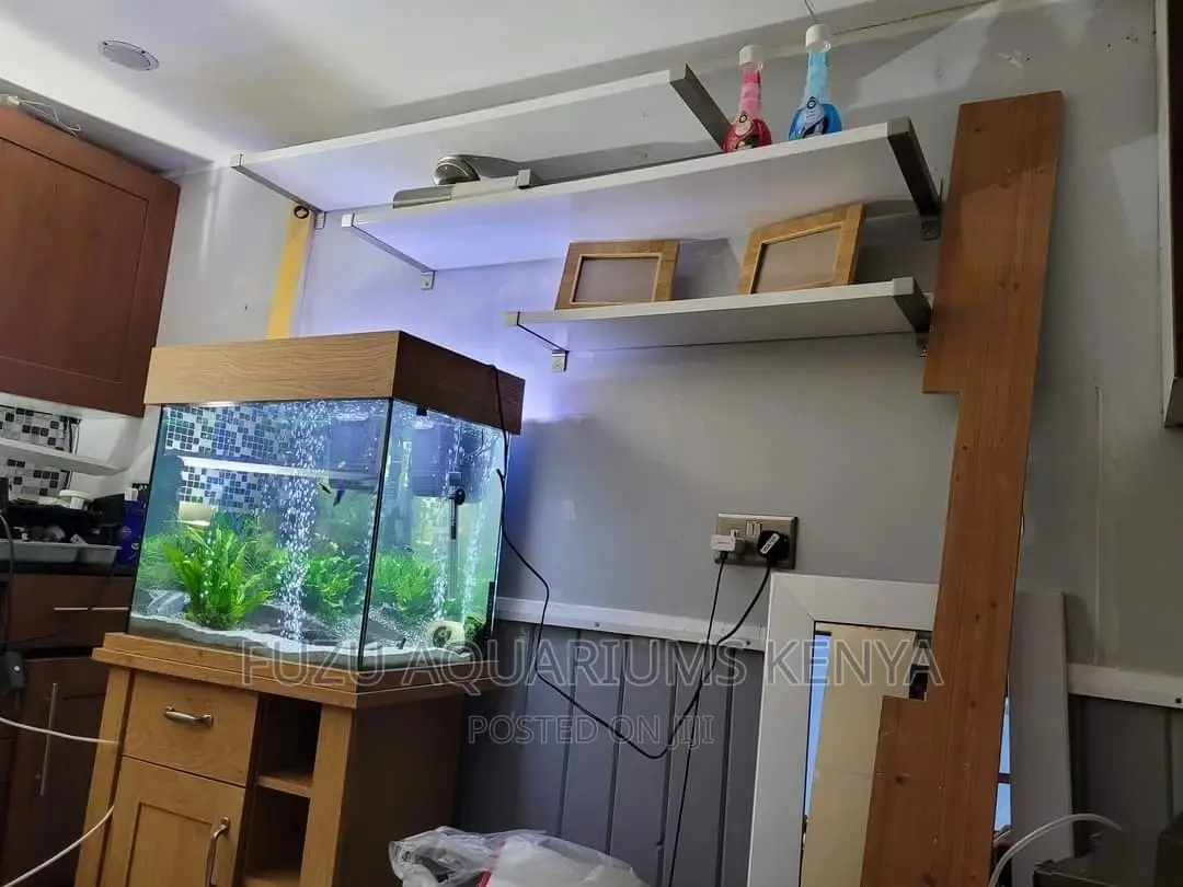 Satisfying Aquarium