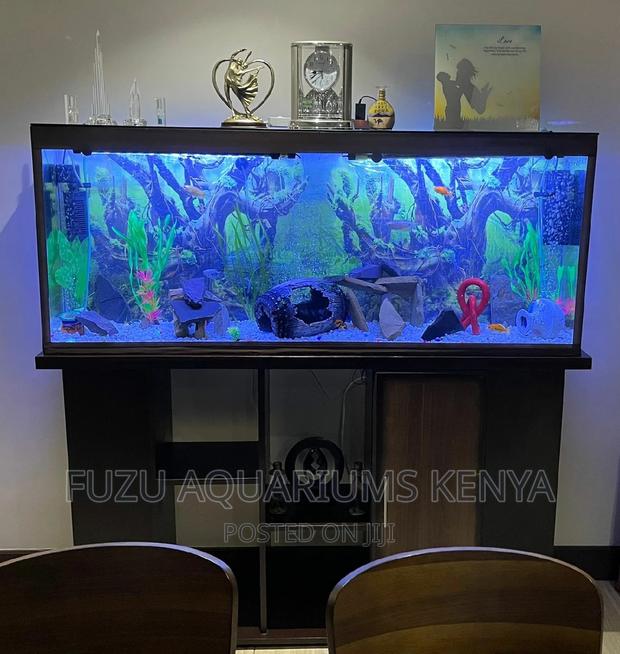Lengthy Aquarium - main view