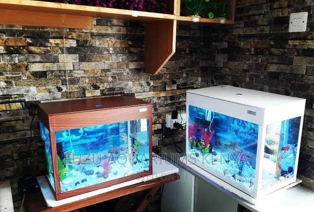 Small Aquarium Complete With Fish - main view