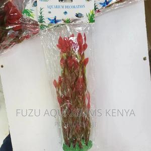 Aquarium Plants Red - thumbnail 2