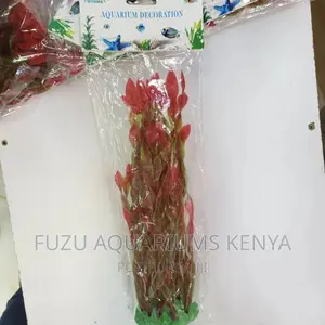 Aquarium Plants Red