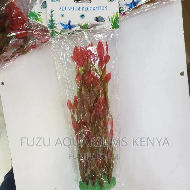 Aquarium Plants Red - main view