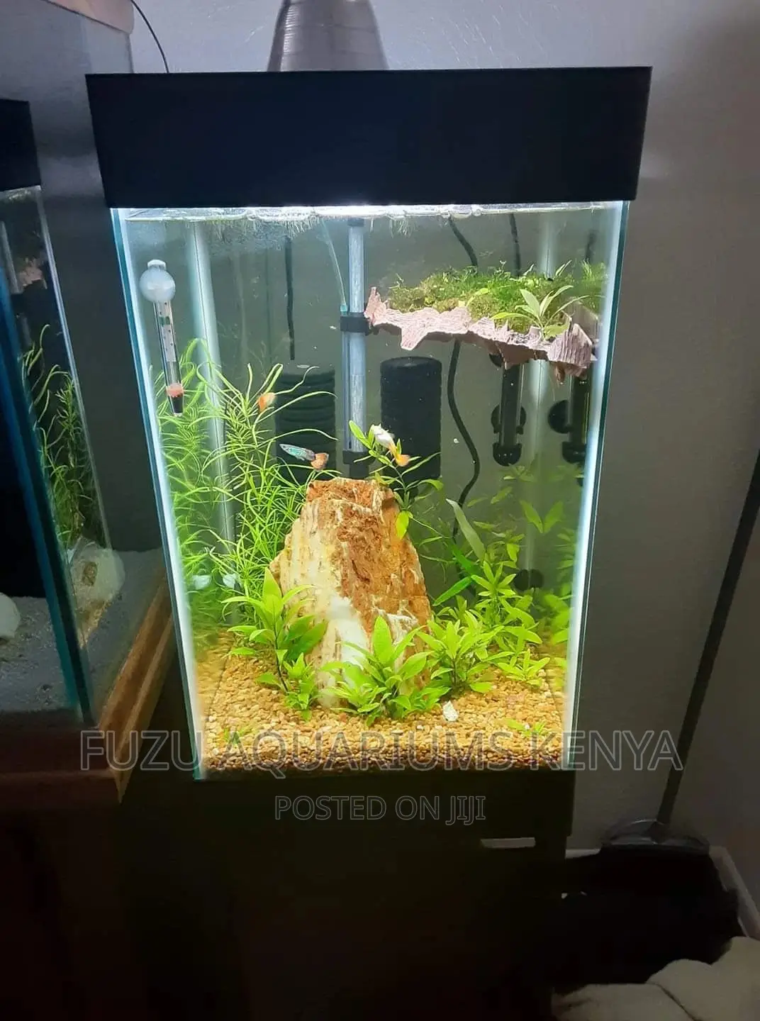 Small Clear Aquarium