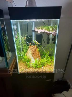Small Clear Aquarium - thumbnail 2