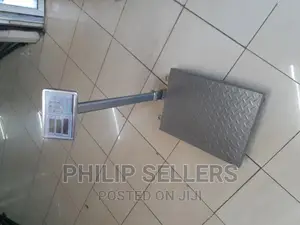 300kg Capacity Displays Weight,Unit Price,Total Pric