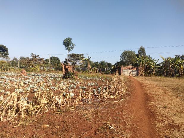 Nyeri / Gatitu 17 Acres - thumbnail 4