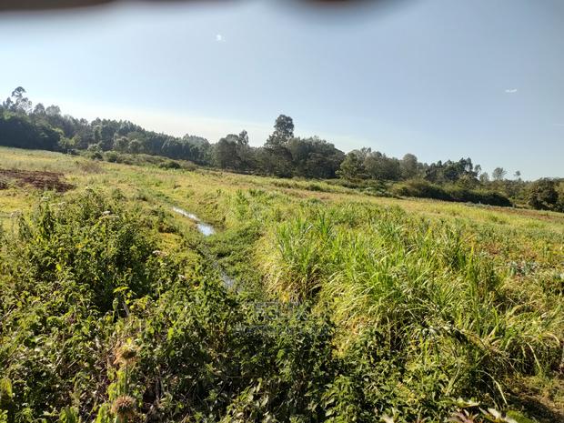 Nyeri / Gatitu 17 Acres - thumbnail 6